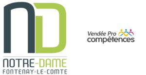 VPC_Fontenay_Ndame_Logo