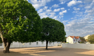 Ecole Nazareth cour